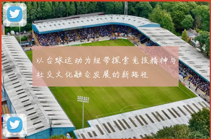 以台球运动为纽带探索竞技精神与社交文化融合发展的新路径