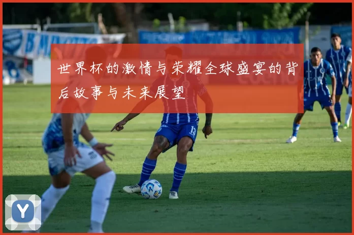 世界杯的激情与荣耀全球盛宴的背后故事与未来展望