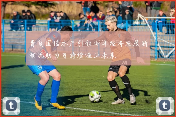 青岛国信水产引领海洋经济发展新潮流助力可持续渔业未来
