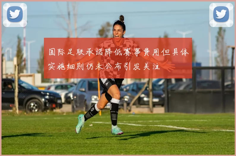 国际足联承诺降低赛事费用但具体实施细则仍未公布引发关注