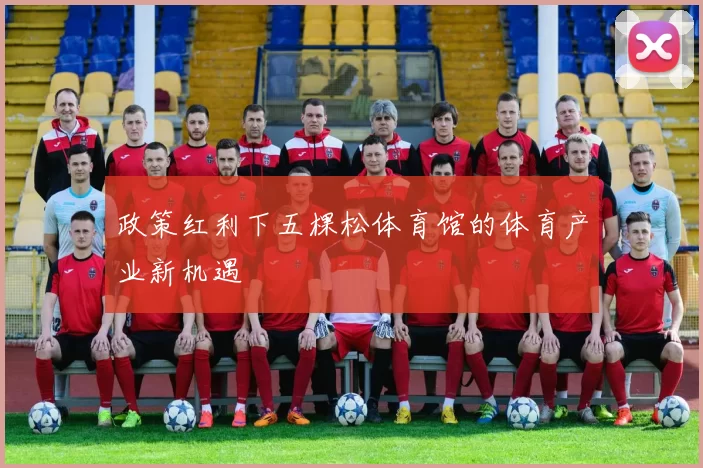 政策红利下五棵松体育馆的体育产业新机遇