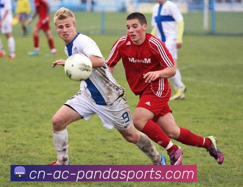 熊猫体育PANDAAPP 体育赛事宣传图